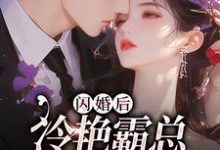 闪婚后，冷艳霸总宠妻无度耿迟渊秦慕瑶，闪婚后，冷艳霸总宠妻无度完整版最新章节-推书帮