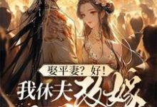 姜芸涵完整版《娶平妻？好！我休夫改嫁王爷给你看》小说免费阅读-推书帮