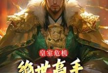 完结版《皇室危机，绝世高手为何抗旨不救》章节目录在线阅读-推书帮