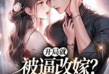 沈菱陆越完整版《开局就被逼改嫁？我转身去寻夫》小说免费阅读-推书帮