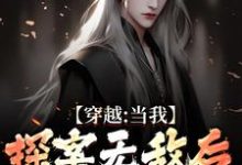 《穿越：当我探案无敌后，身份被爆了》小说大结局免费试读 苏清和小说-推书帮