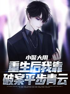 完结版《小警大用：重生后我靠破案平步青云》章节阅读