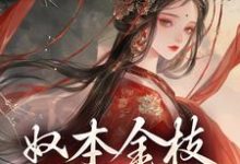 《奴本金枝，誓不为妾》小说免费阅读完整版-推书帮