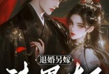 完结版《退婚另嫁，渣男太子怎么跪了》免费阅读-推书帮