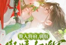 韩妤齐砚清小说在线章节免费阅读（赘入将府，驯服傲娇女将军无弹窗无删减）-推书帮