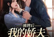 完结版《摊牌后，我的娇夫变小弟》在线免费阅读-推书帮