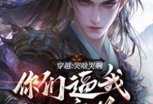 陆川风九天完整版《穿越：哭啥哭啊，你们逼我入魔道》小说免费阅读-推书帮