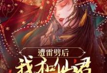 完结版《遭雷劈后，我和仙君互通痛感了》免费阅读-推书帮