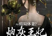 《结局休妻？炮灰王妃她力挽狂澜》小说免费阅读完整版-推书帮