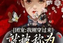 叶西来小说《团宠：我刚穿过来就被称为九天神女》完整版免费阅读-推书帮