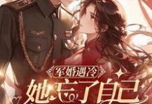 完结版《军婚遇冷：她忘了自己订的娃娃亲》章节阅读-推书帮