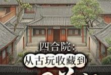 四合院：从古玩收藏到世界首富何雨生何雨柱小说大结局免费试读-推书帮