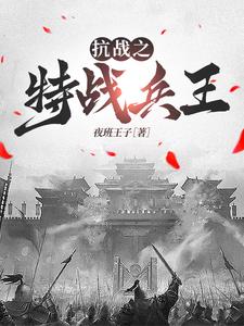 抗战之特战兵王章节免费在线阅读，王海涛完结版