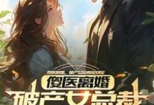 完结版《傻医离婚，破产女总裁捡到宝》免费阅读-推书帮